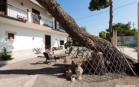 B&B Villa Pia